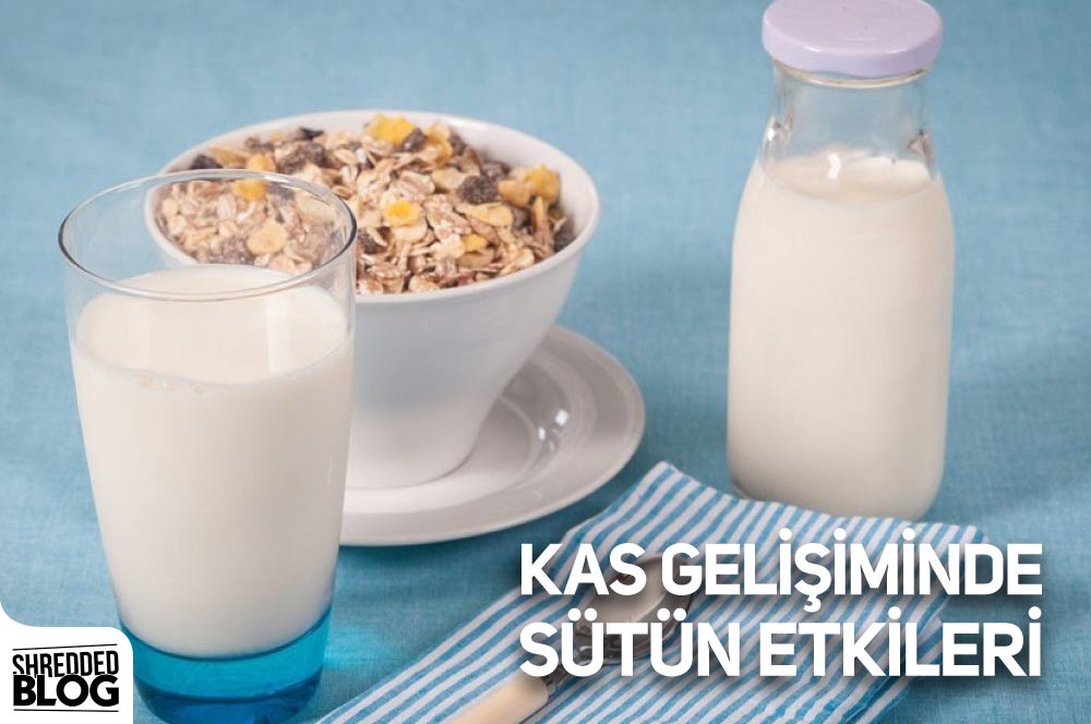 Kas Gelişiminde Sütün Etkileri ana görsel