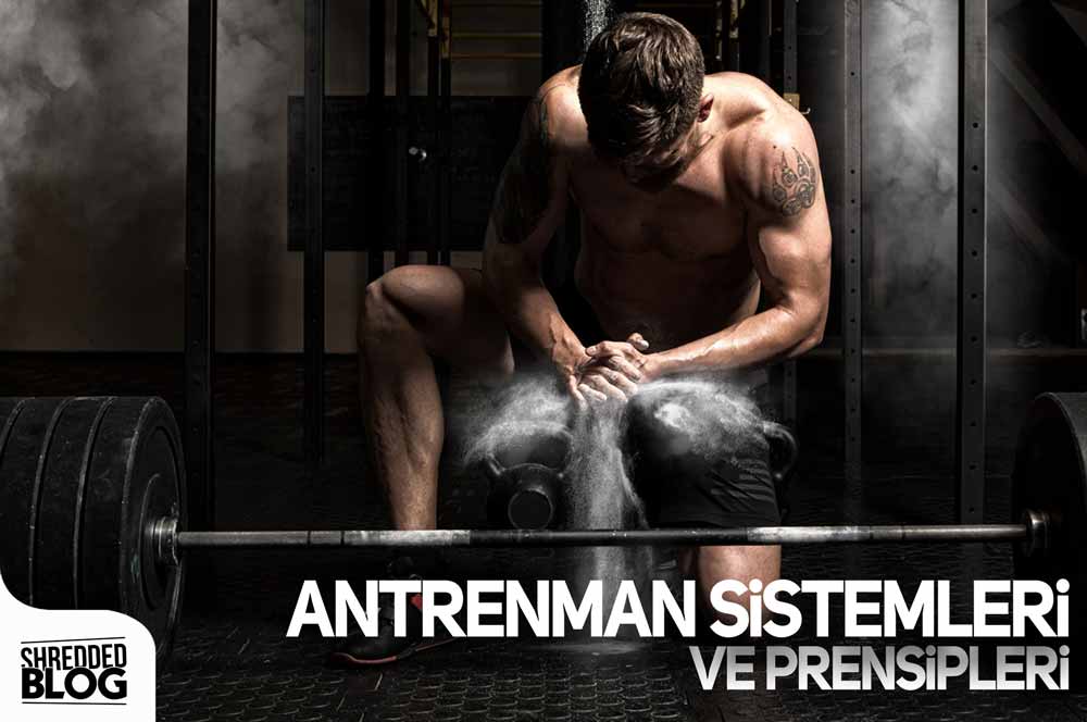 Antrenman Sistemleri ve Prensipleri ana görsel