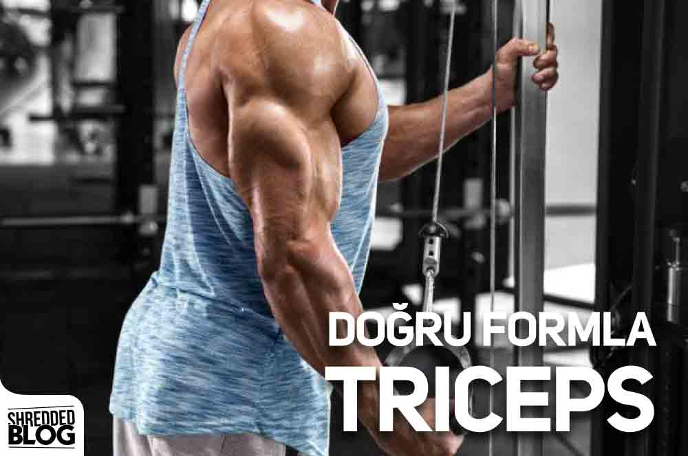 Doğru Formla Triceps ana görsel