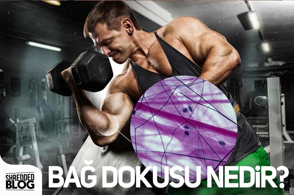 Bağ Dokusu Nedir? ana görsel