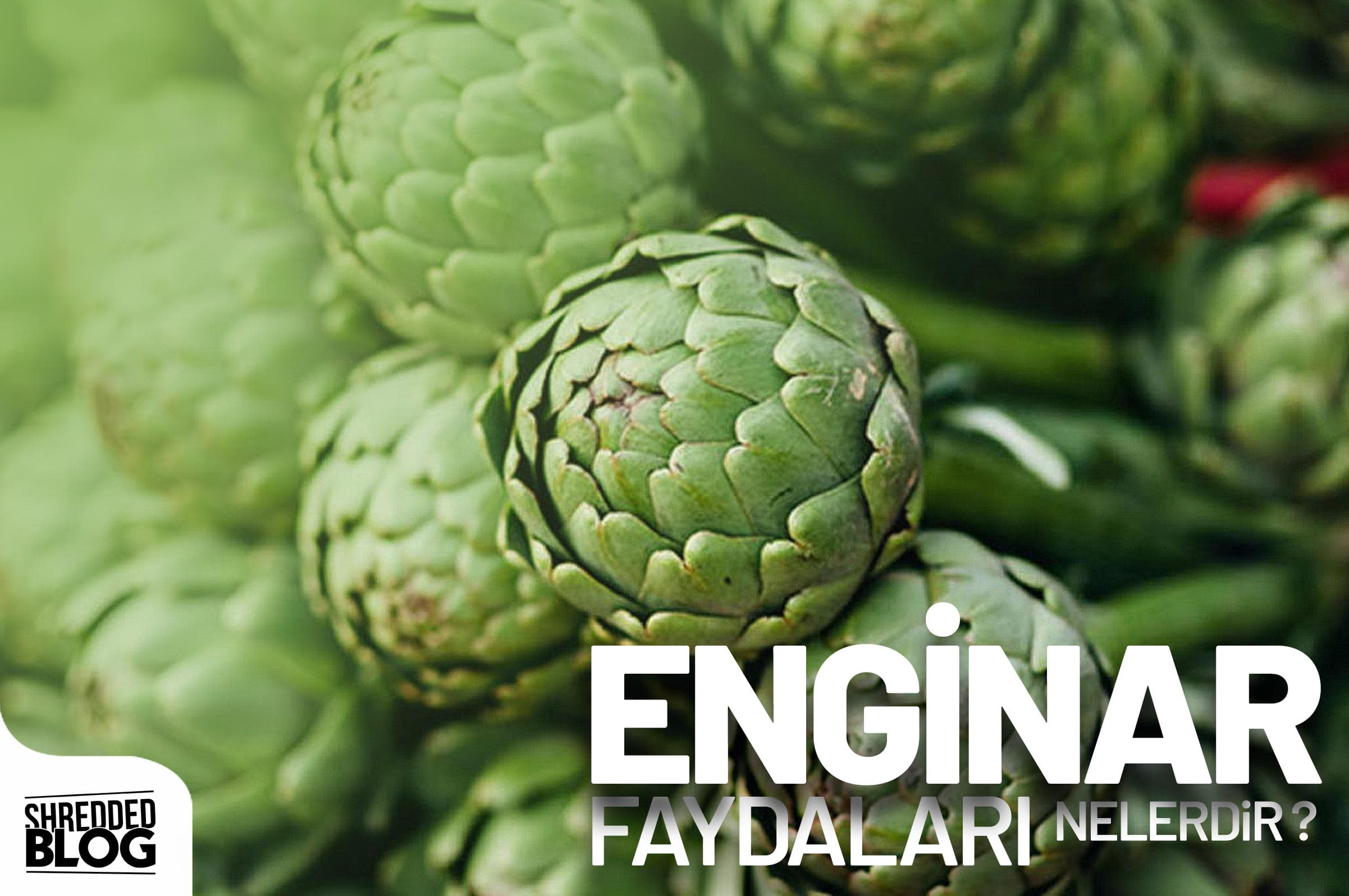 Karaciğer Dostu Enginar ana görsel