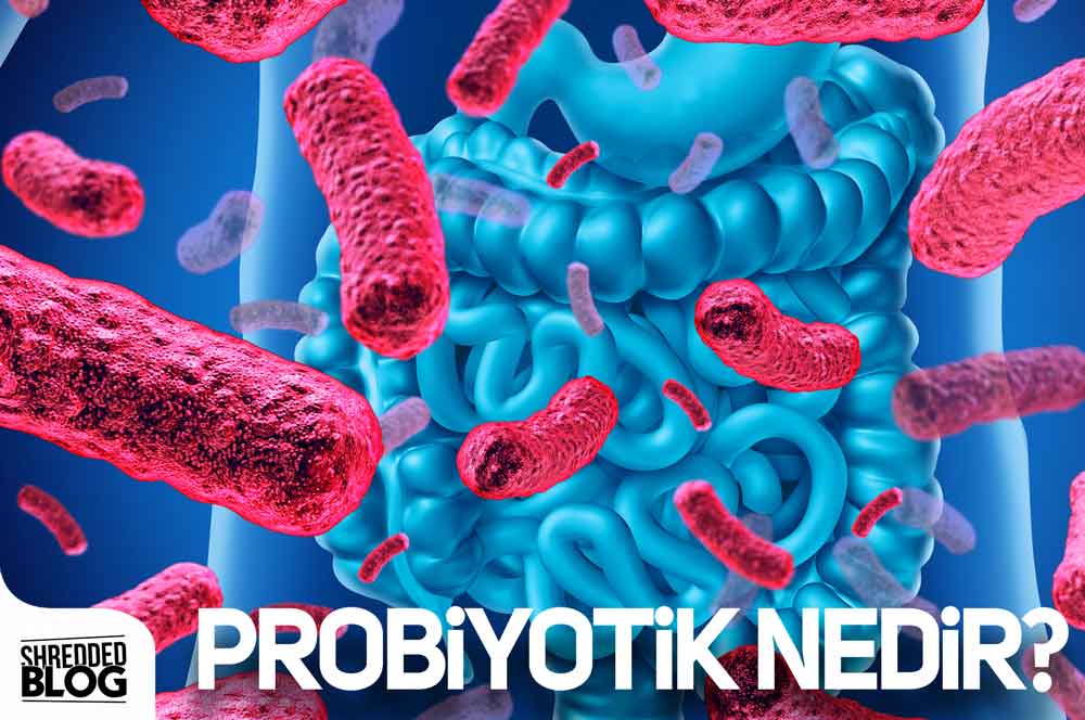 Probiyotik Nedir? ana görsel