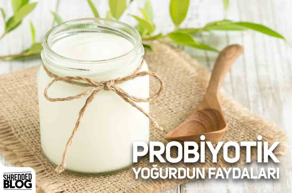 Probiyotik Yoğurdun Faydaları ana görsel