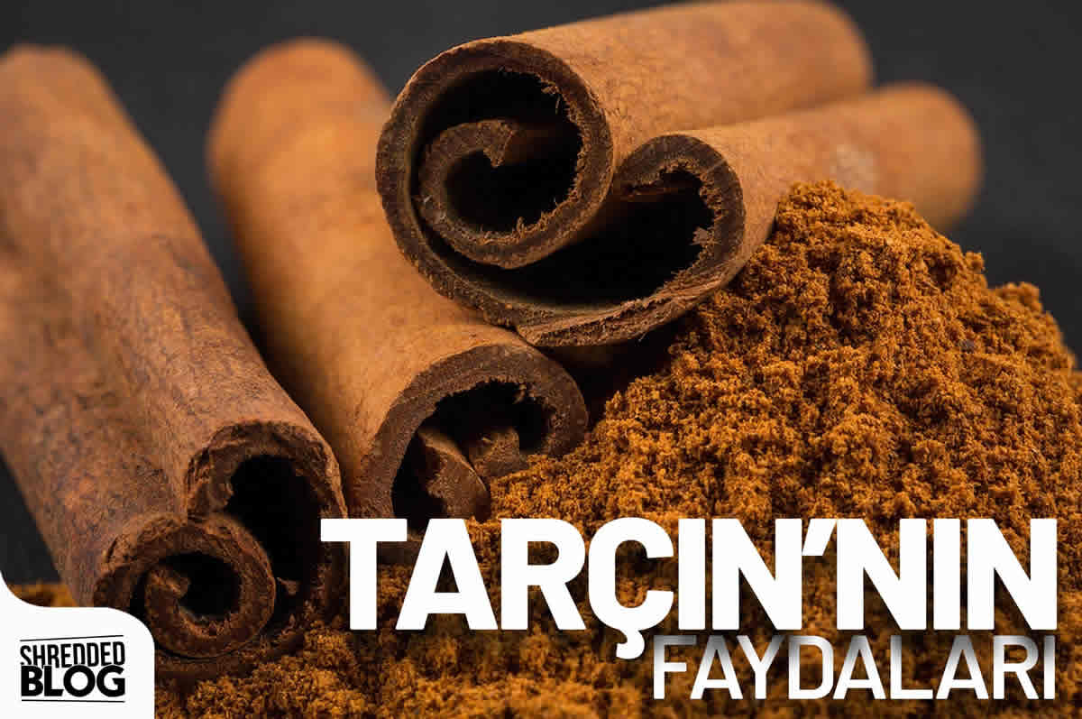 Tarçının Faydaları ana görsel