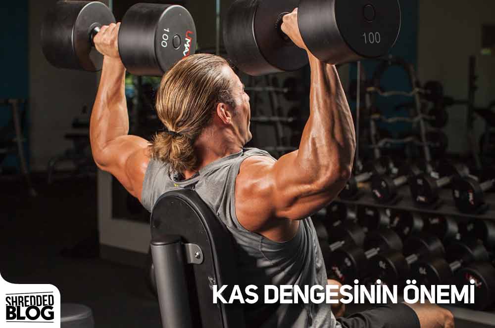 Kas Dengesinin Önemi ana görsel