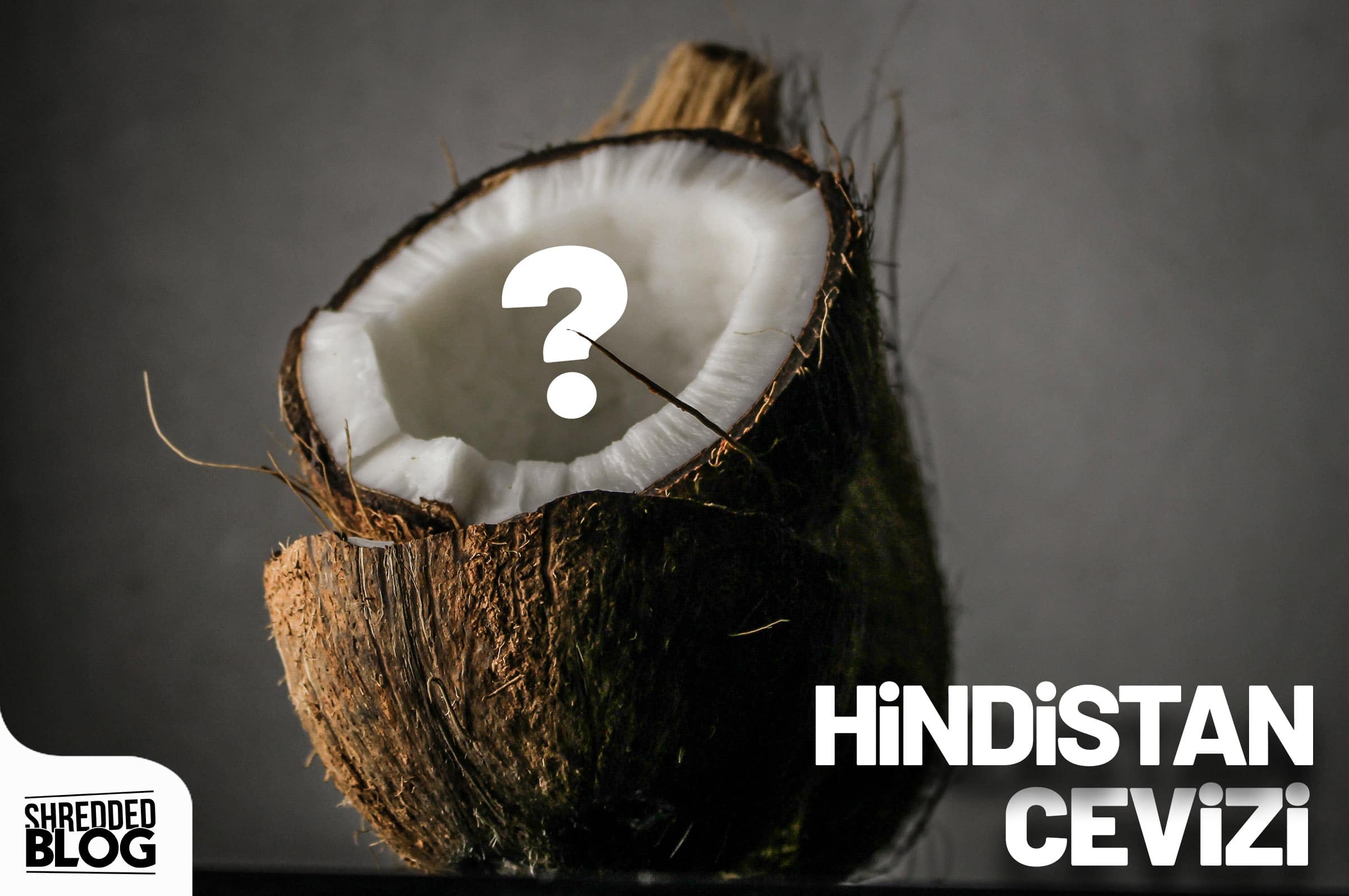 Hindistan Cevizinin Faydaları ana görsel