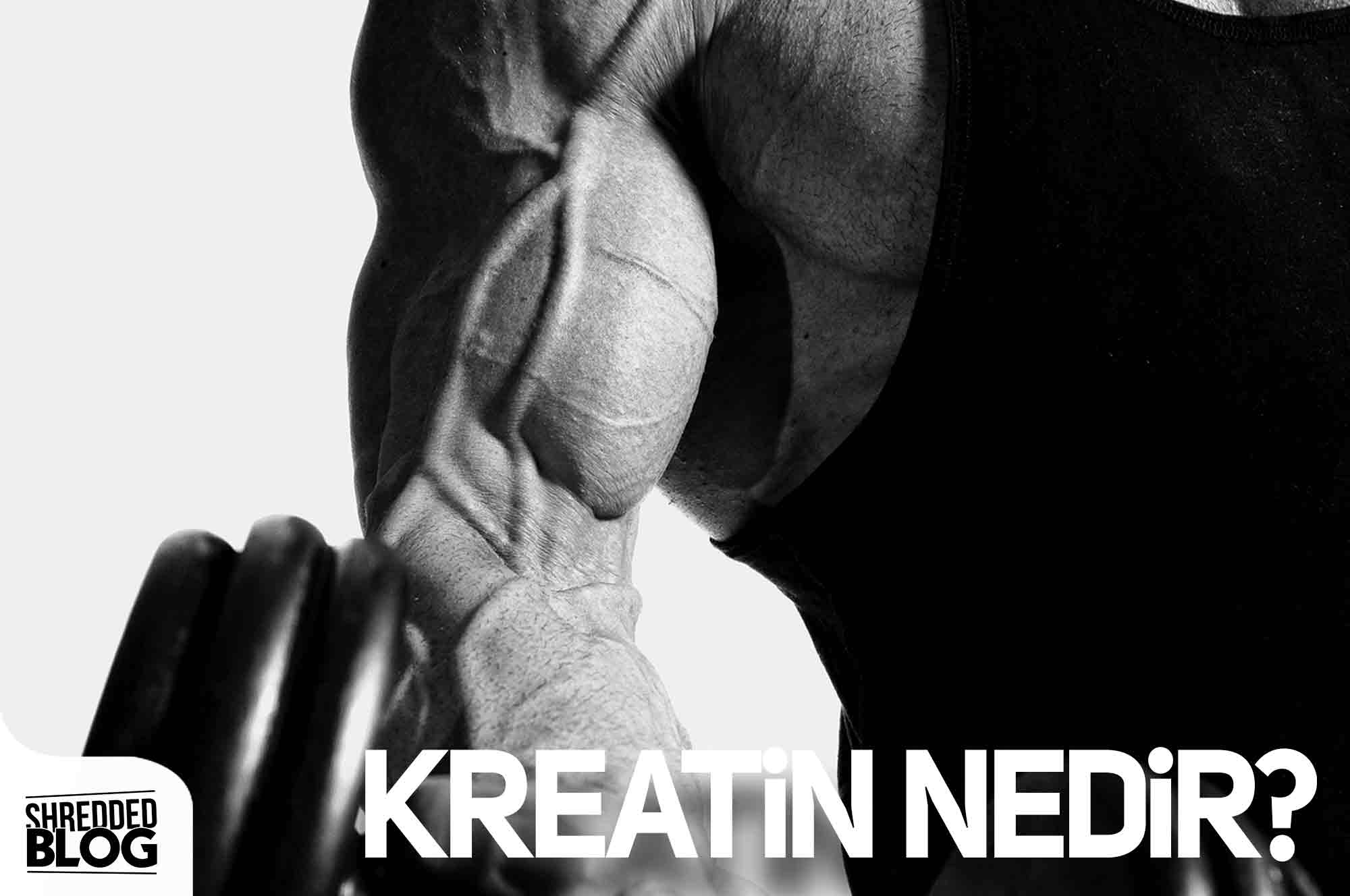 Kreatin Nedir? ana görsel