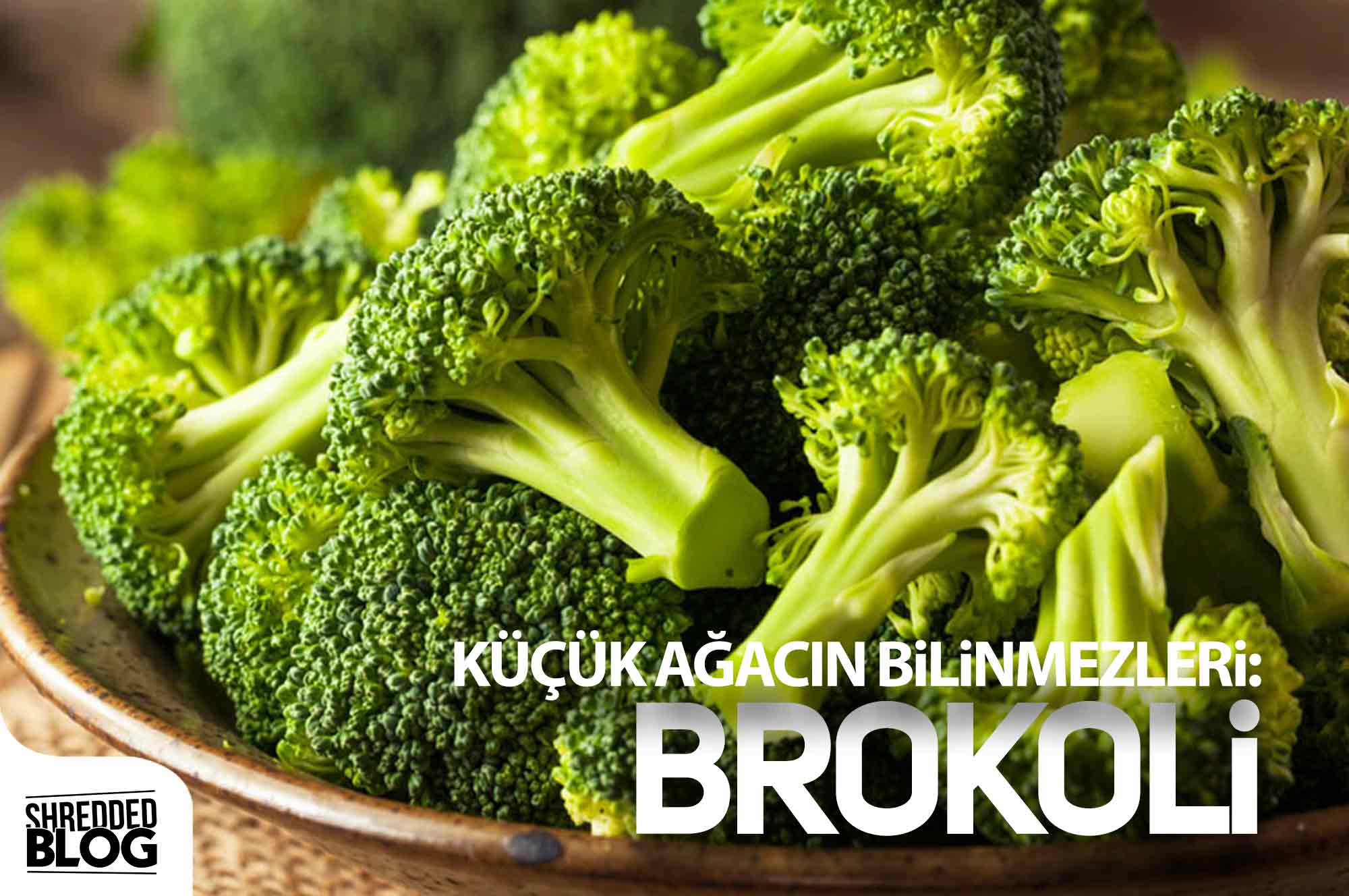 Küçük Ağacın Bilinmezleri: Brokoli ana görsel