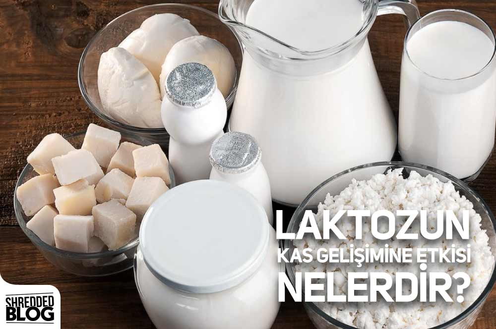 Laktozun Kas Gelişimine Etkisi Nelerdir? ana görsel