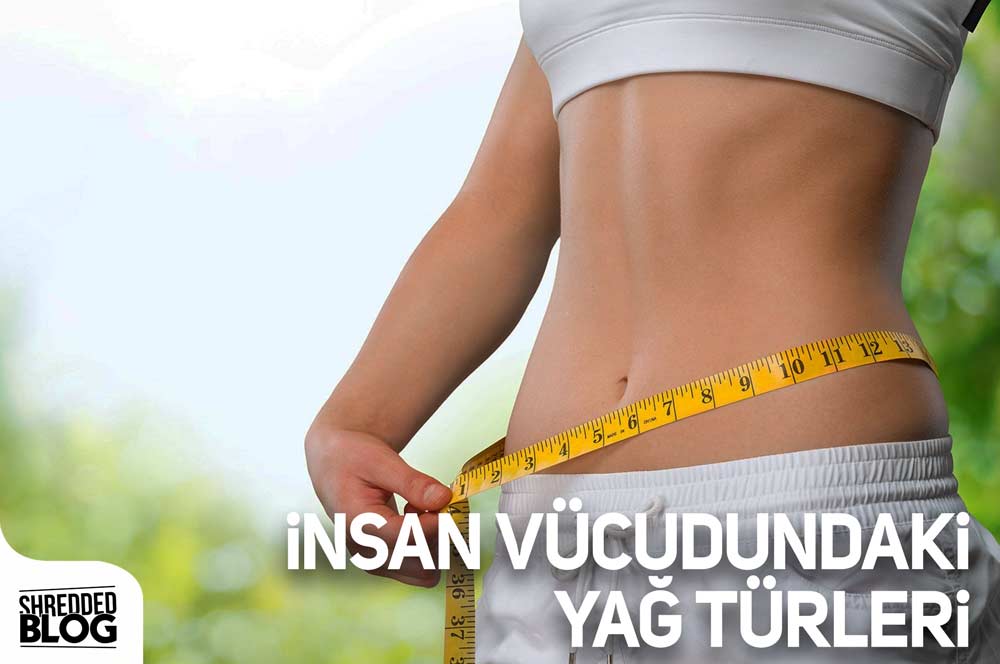 İnsan Vücudundaki Yağ Türleri ana görsel