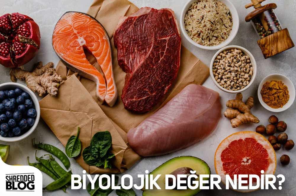 Biyolojik Değer Nedir? ana görsel