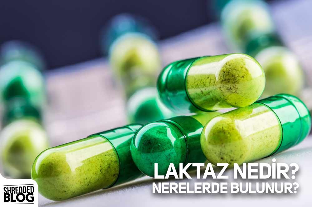 Laktaz Nedir? Nerelerde Bulunur? ana görsel