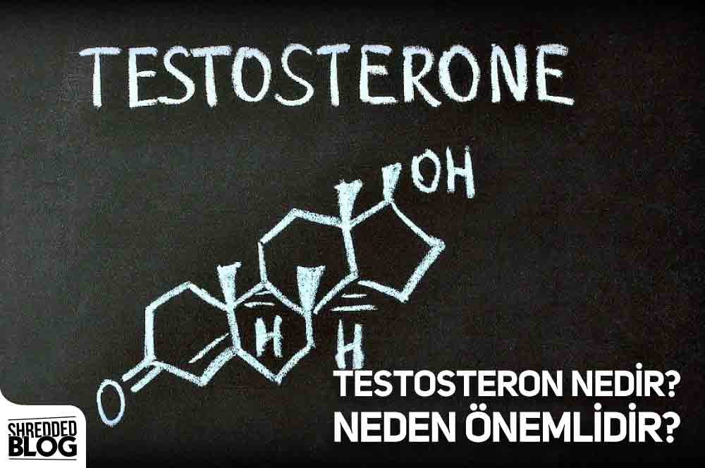 Testosteron Nedir? Neden Önemlidir? ana görsel