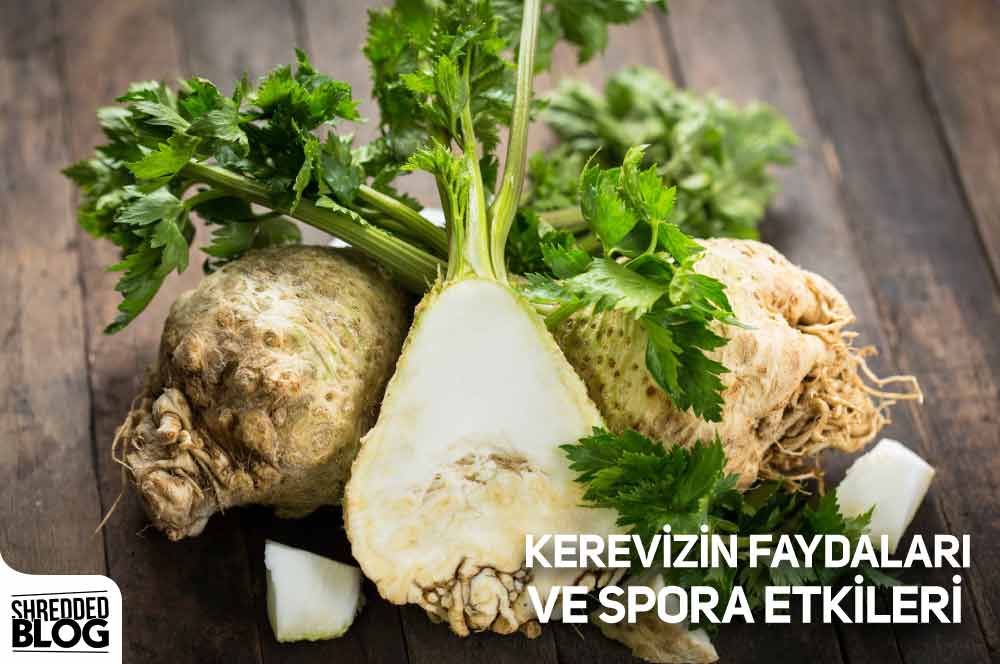 Kerevizin Faydaları Ve Spora Etkileri ana görsel