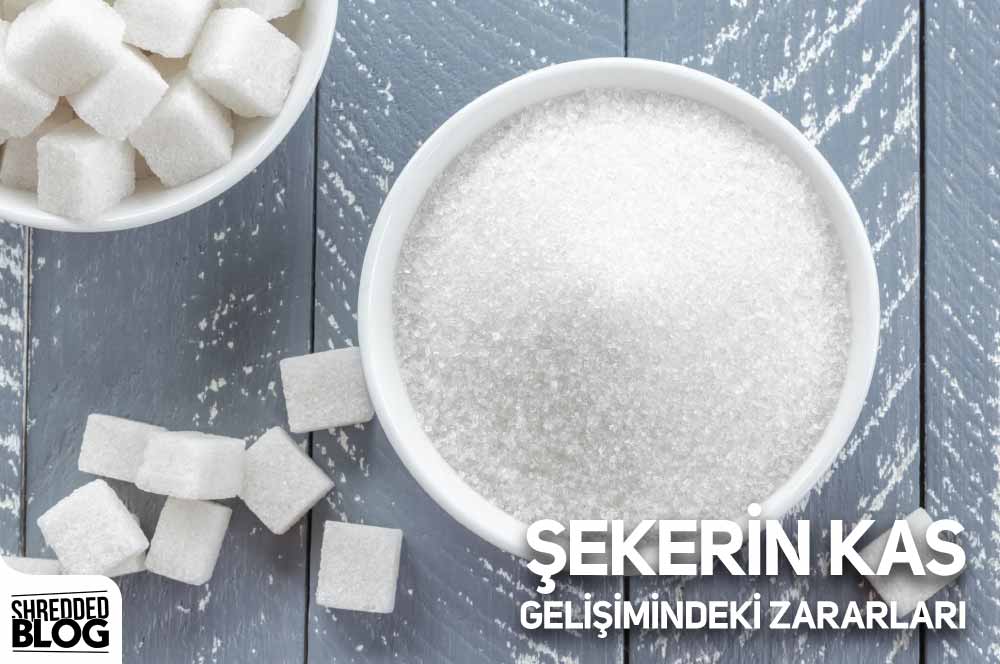 Şekerin Kas Gelişimindeki Zararları ana görsel