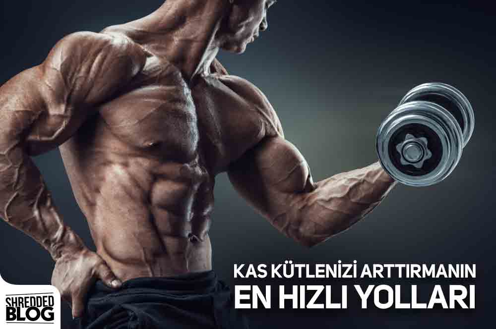 Kas Kütlenizi Arttırmanın En Hızlı Yolları ana görsel