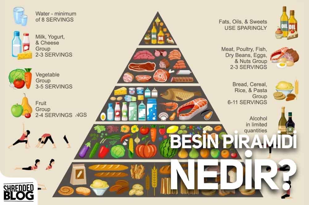 Besin Piramidi Nedir? ana görsel