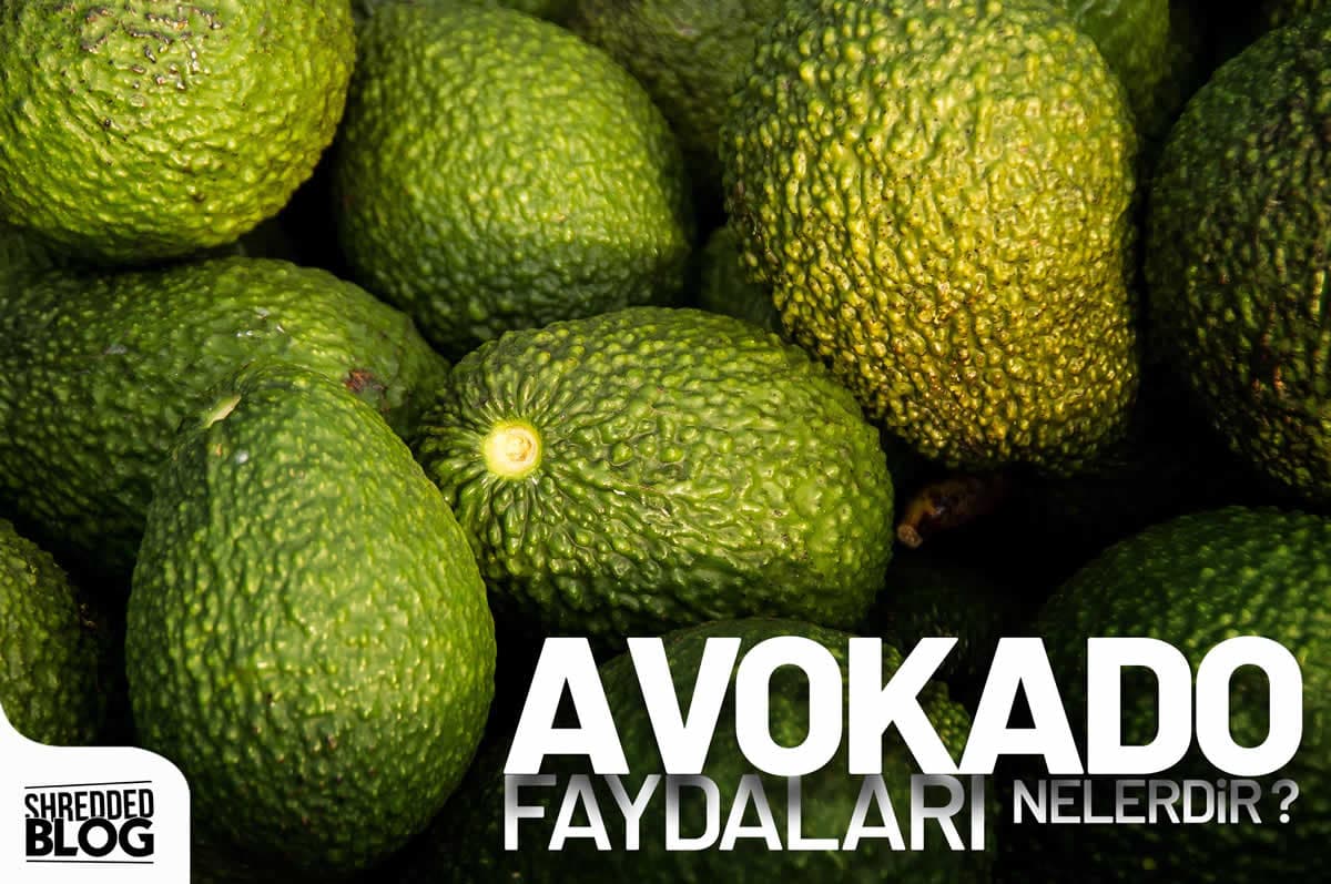 Avokadonun Faydaları ana görsel