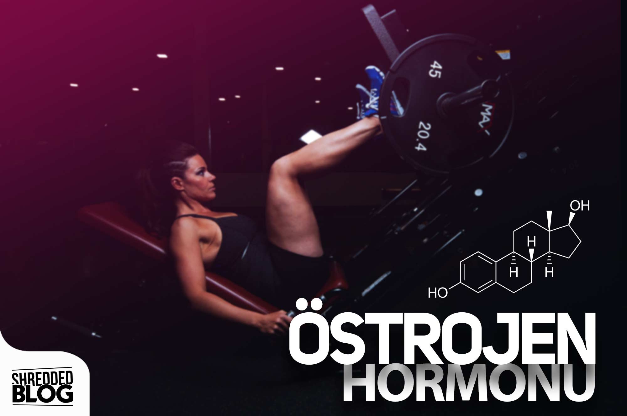 Östrojen Hormonu ana görsel