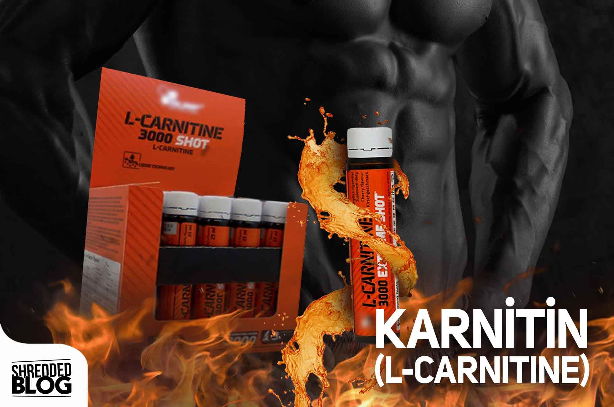 Karnitin (L-Carnitine) ana görsel