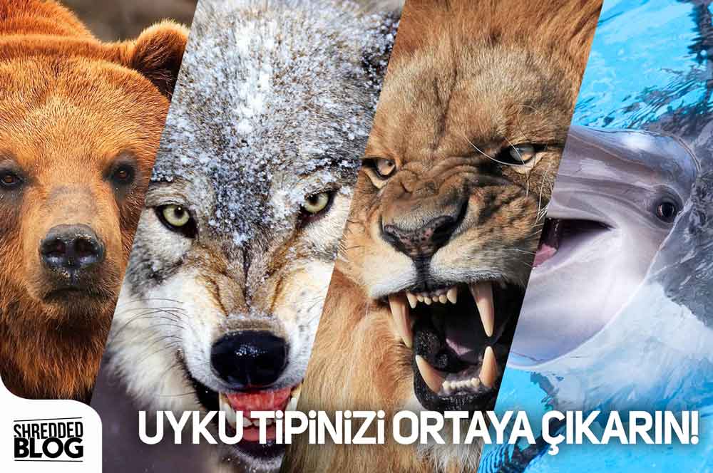 Uyku Tipinizi Ortaya Çıkarın! main blog image