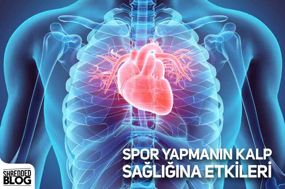 Spor Yapmanın Kalp Sağlığına Etkileri ana görsel