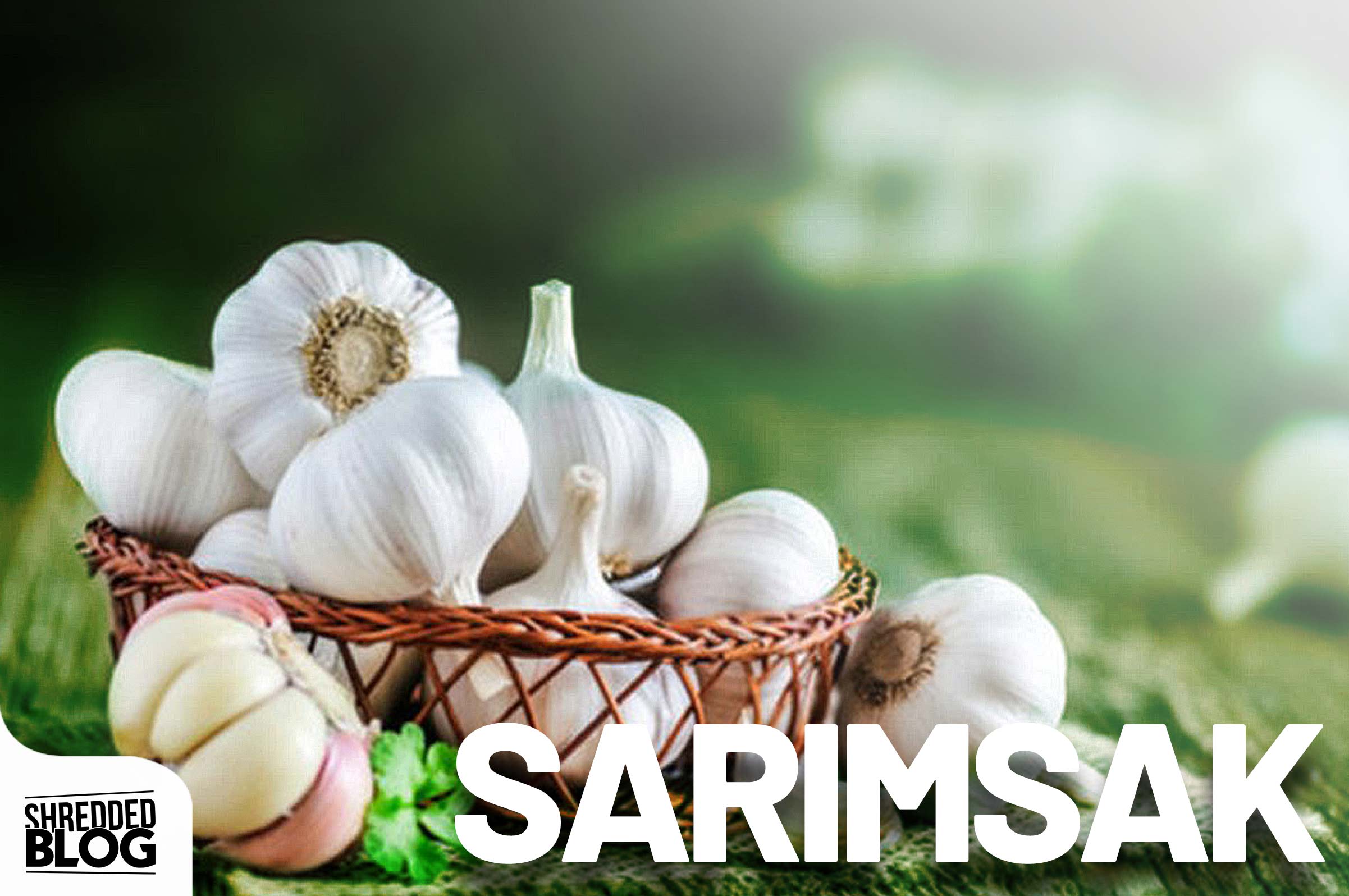 Doğal Antibiyotik Sarımsak ana görsel