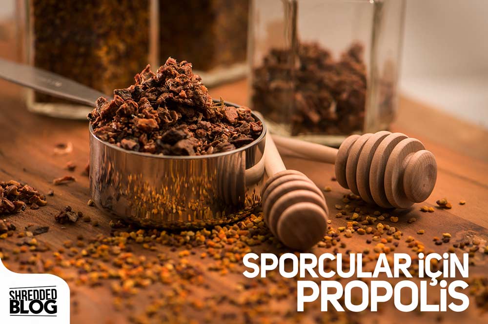 Sporcular İçin Propolis ana görsel