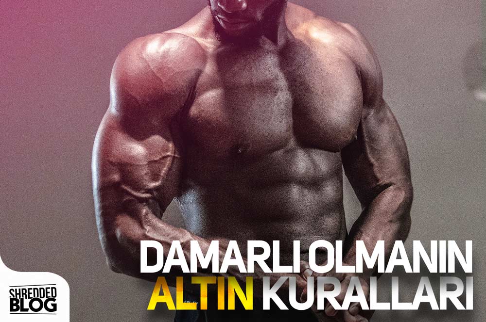 Damarlı Olmanın Altın Kuralları main blog image