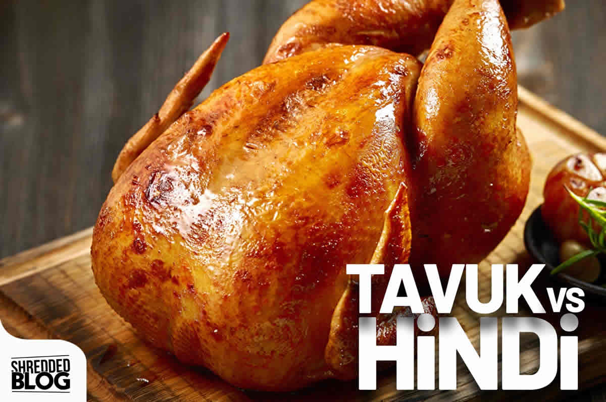 Hindi Mi Tüketmeliyiz Tavuk Mu ? main blog image