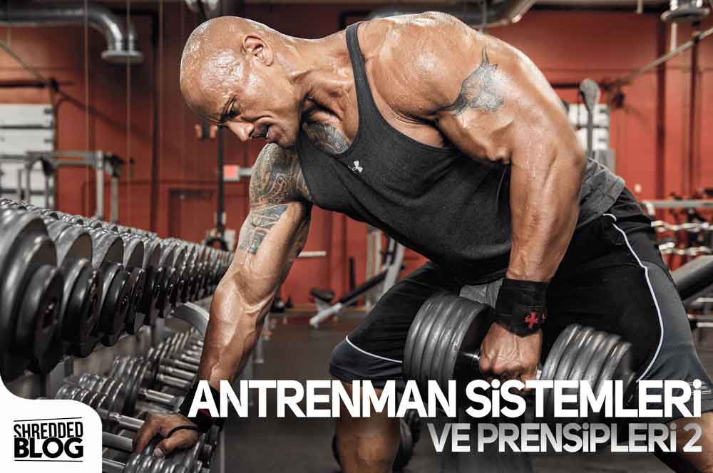 Antrenman Sistemleri ve Prensipleri 2 ana görsel