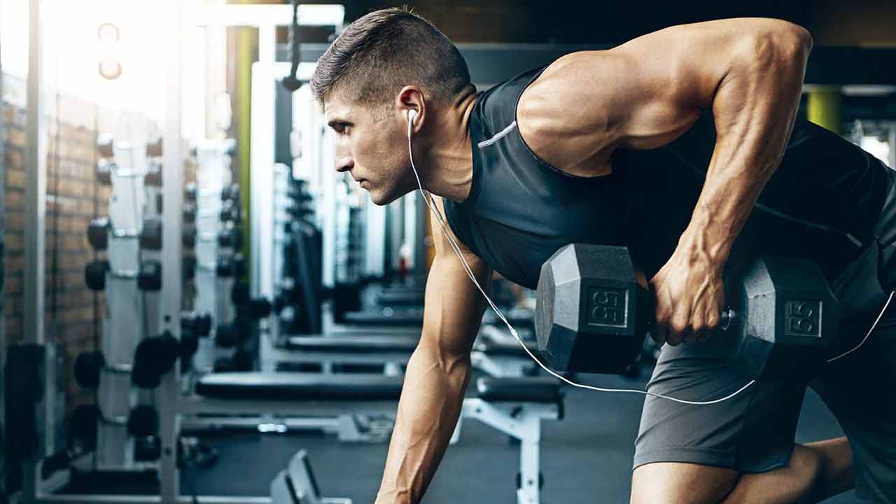 Dambılı-Tanımak-ve-Kullanmak-1