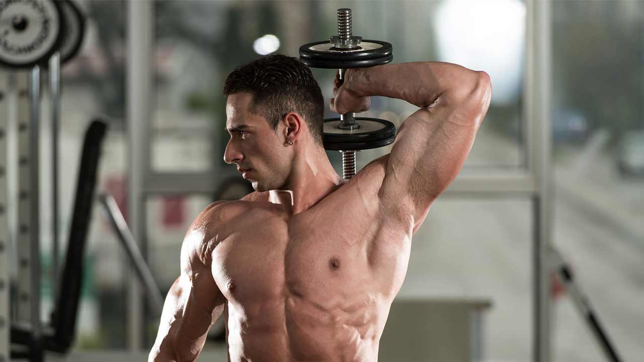 Dambılı-Tanımak-ve-Kullanmak-6