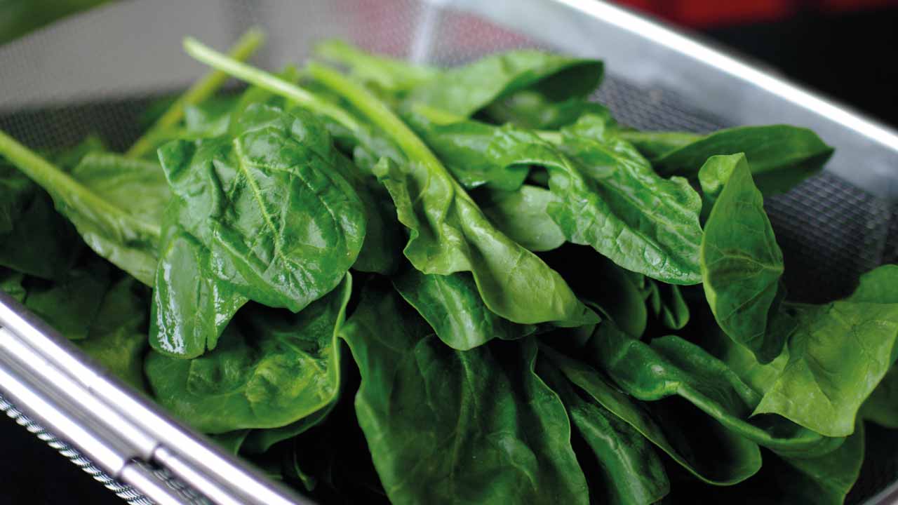 Karın-Bölgesindeki-Yağları-Eriten-Besinler-2