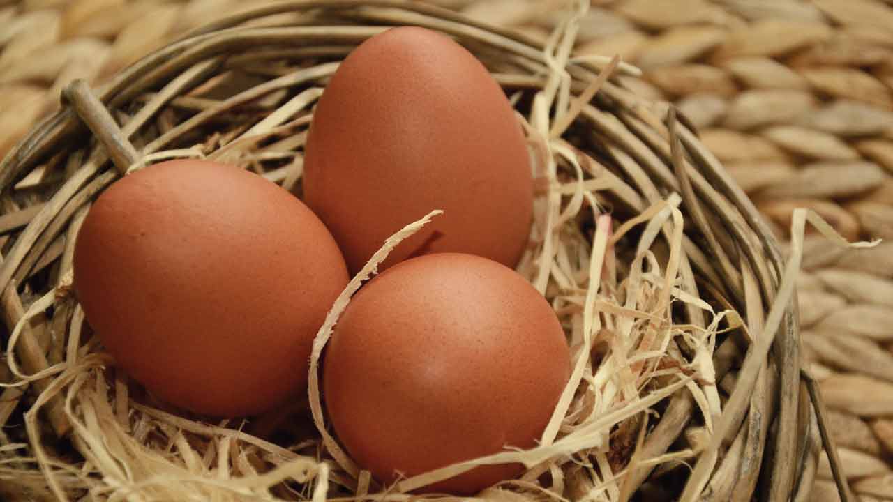 Karın-Bölgesindeki-Yağları-Eriten-Besinler-5