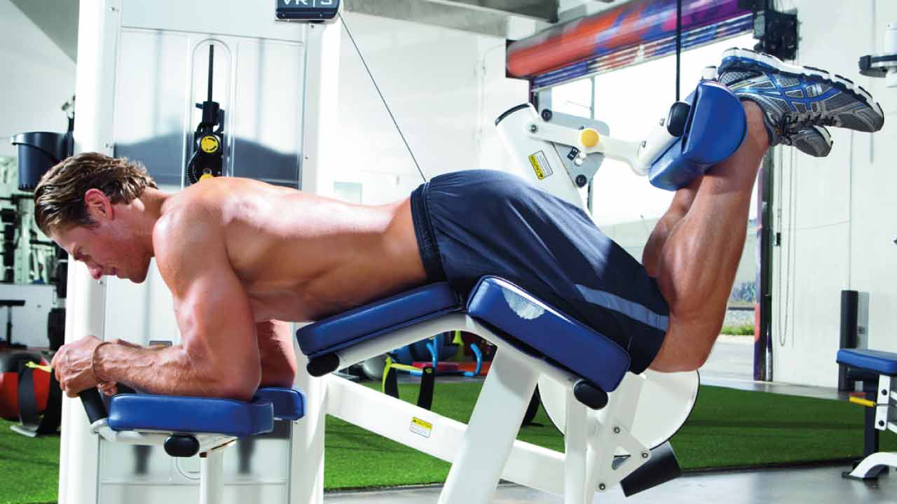 bacak-kası-gelişimi-1(1)