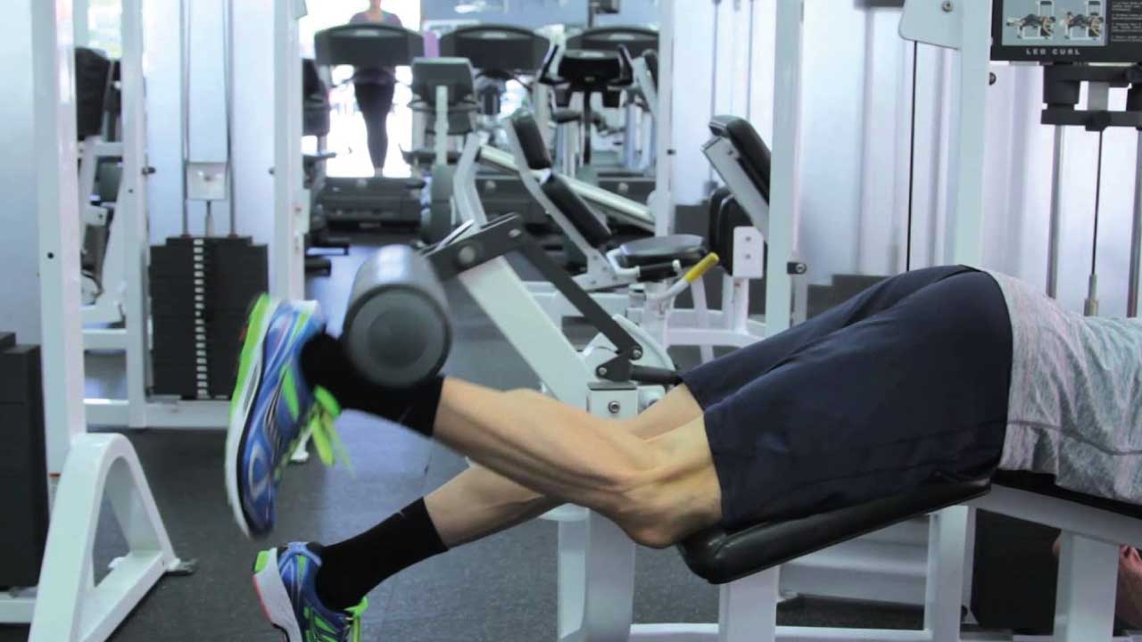 bacak-kası-gelişimi-4(1)