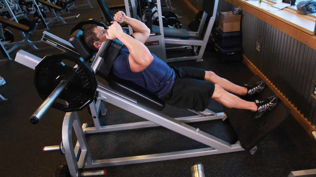 bacak-kası-gelişimi-6(1)