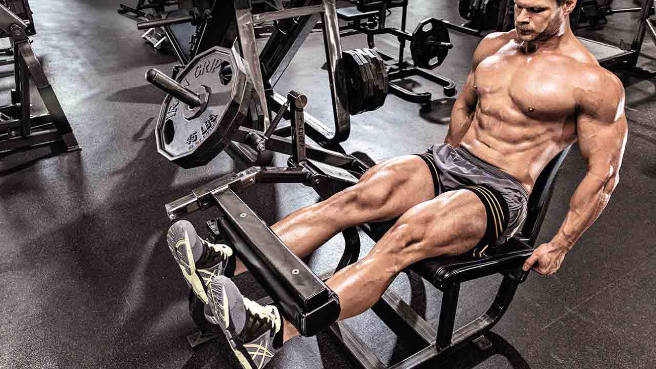 bacak-kası-gelişimi-8(1)