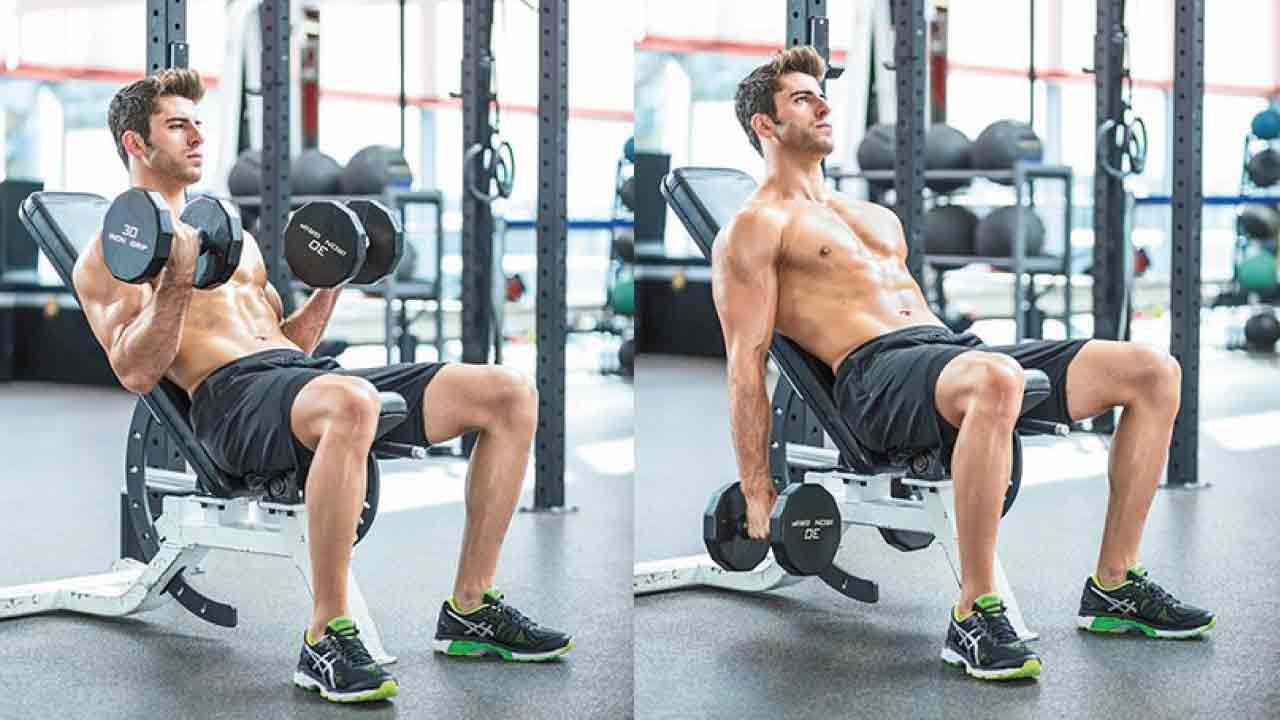 biceps_gelişimi_ve_hareketleri_10(3)