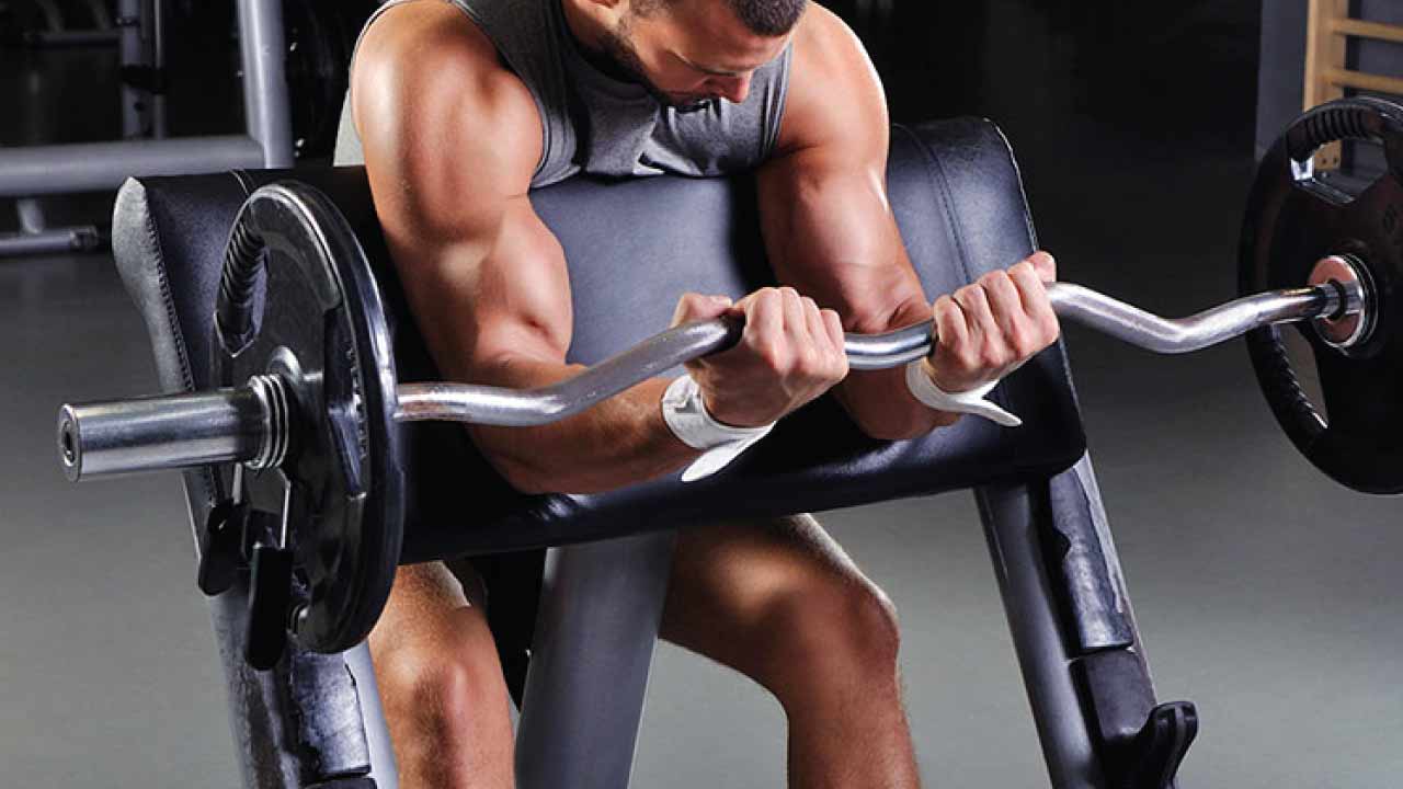 biceps_gelişimi_ve_hareketleri_11(3)