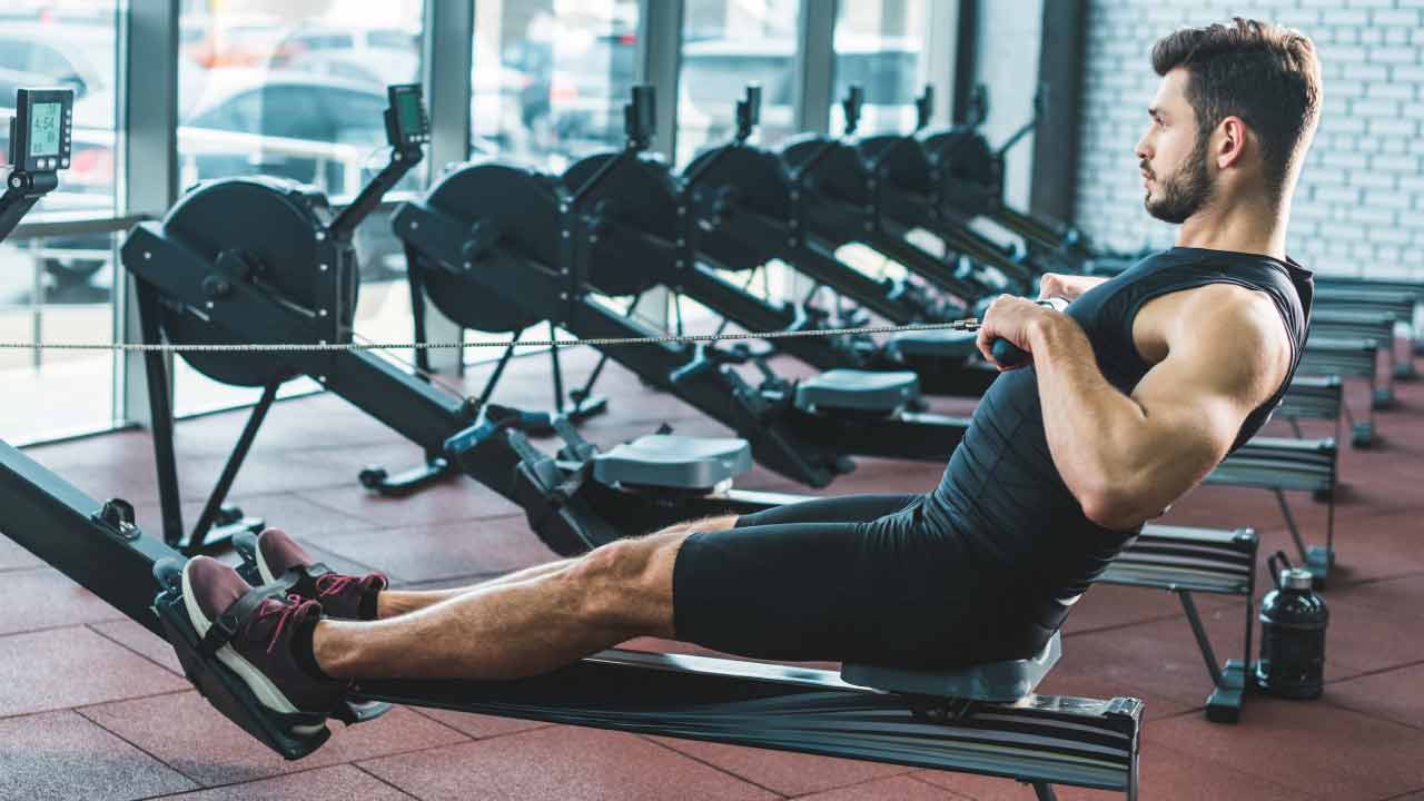 bisiklet_mi_kurek_mi_2