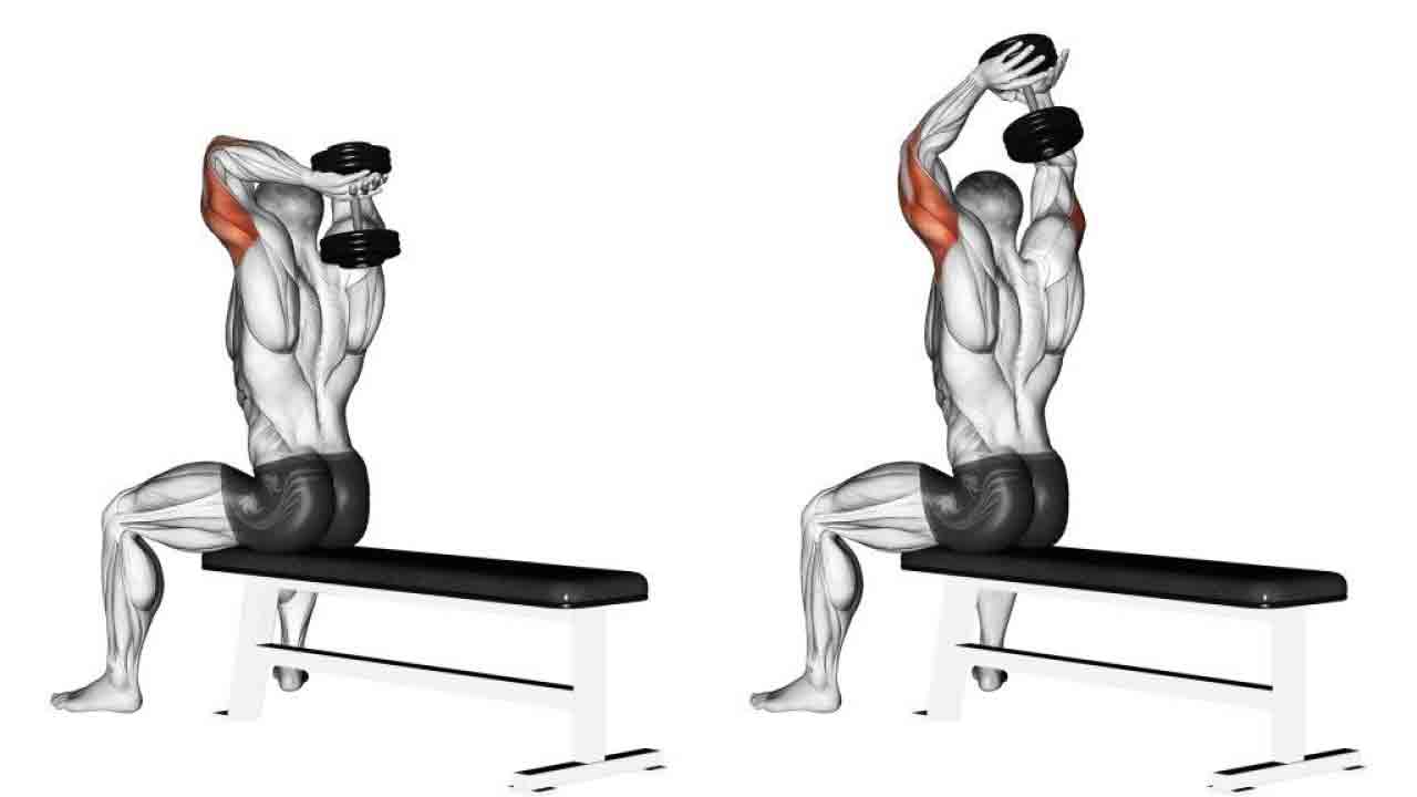 dumbell_tricepss_extension_3