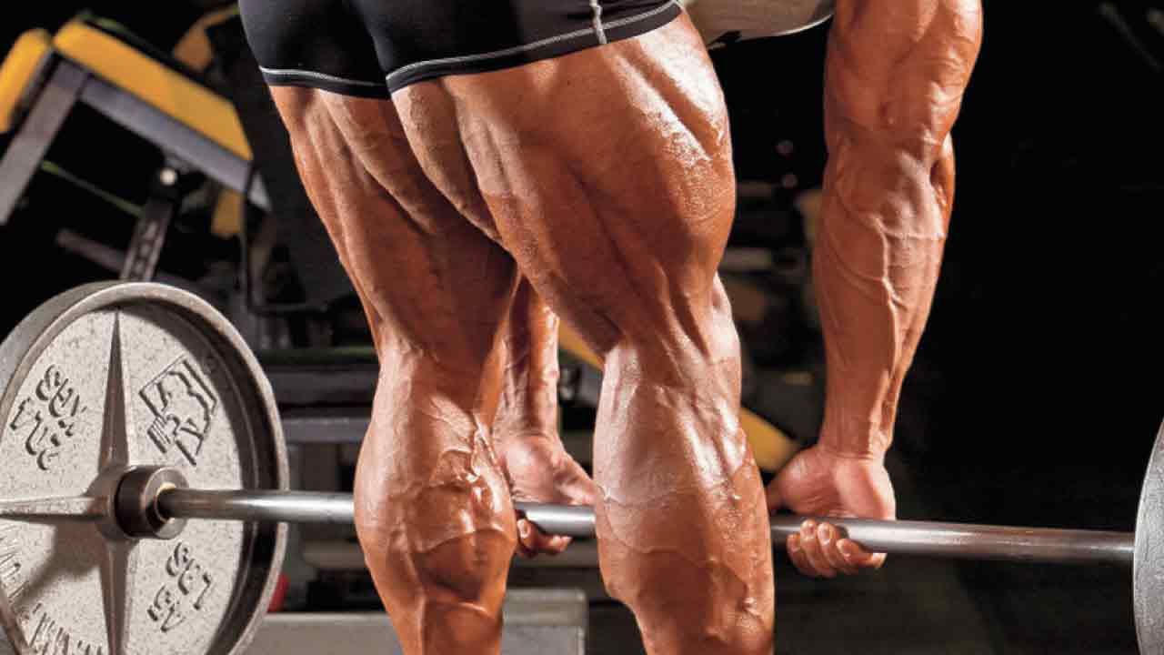 egzersizler_hareketler_bacak(1)