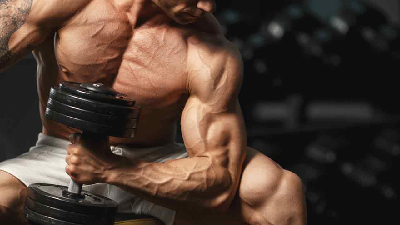 egzersizler_hareketler_biceps