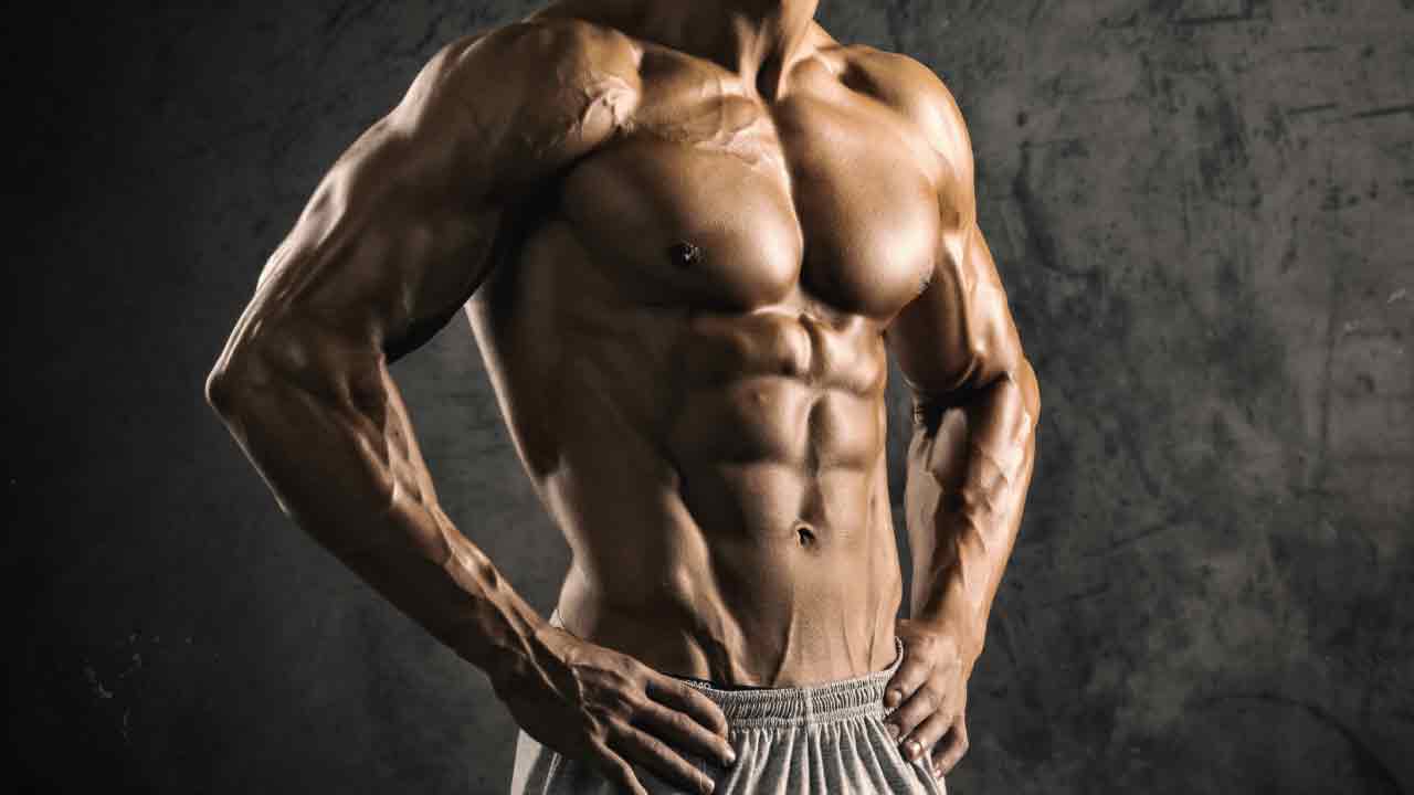 egzersizler_hareketler_karin