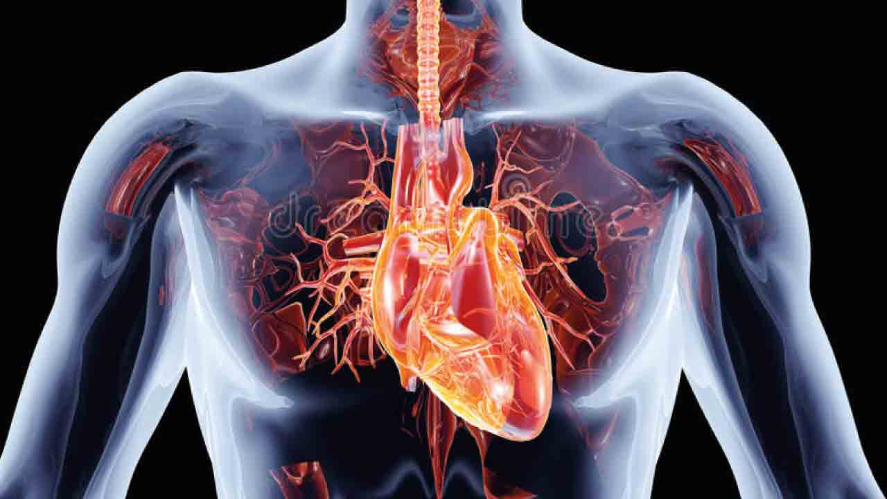 kalp_sağlığı_1