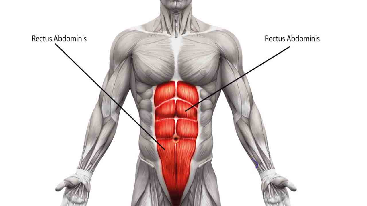 karin_kasi_gelisimi_2