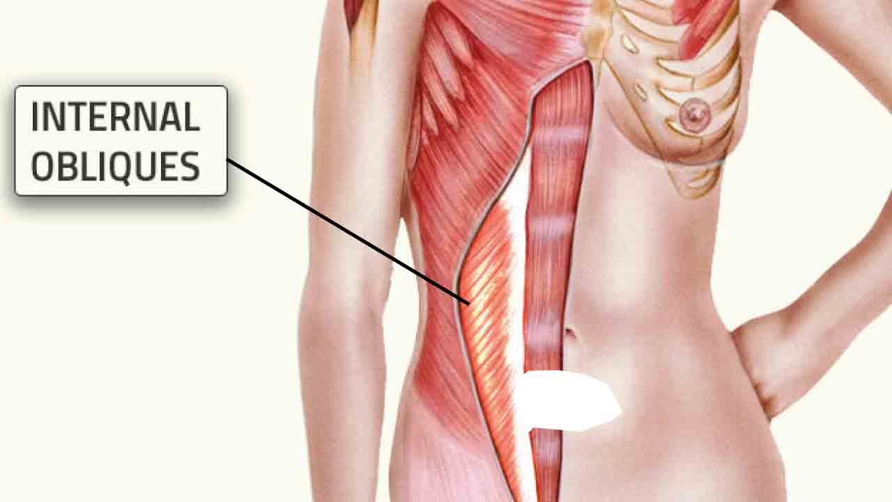 karin_kasi_gelisimi_3