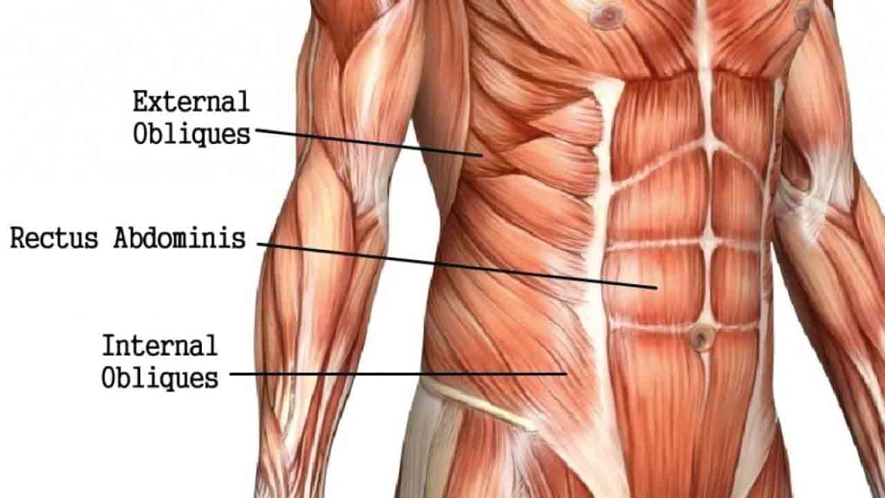 karin_kasi_gelisimi_5